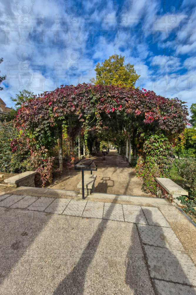 Garten-Sacre-Coeur