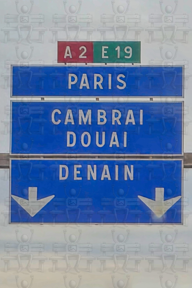Schild